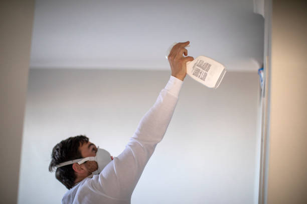 Best Toxic Mold Removal  in North Charleroi, PA