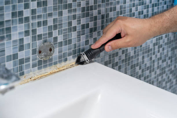 Best Certified Mold Removal  in North Charleroi, PA