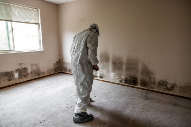 Best Mold Testing  in North Charleroi, PA